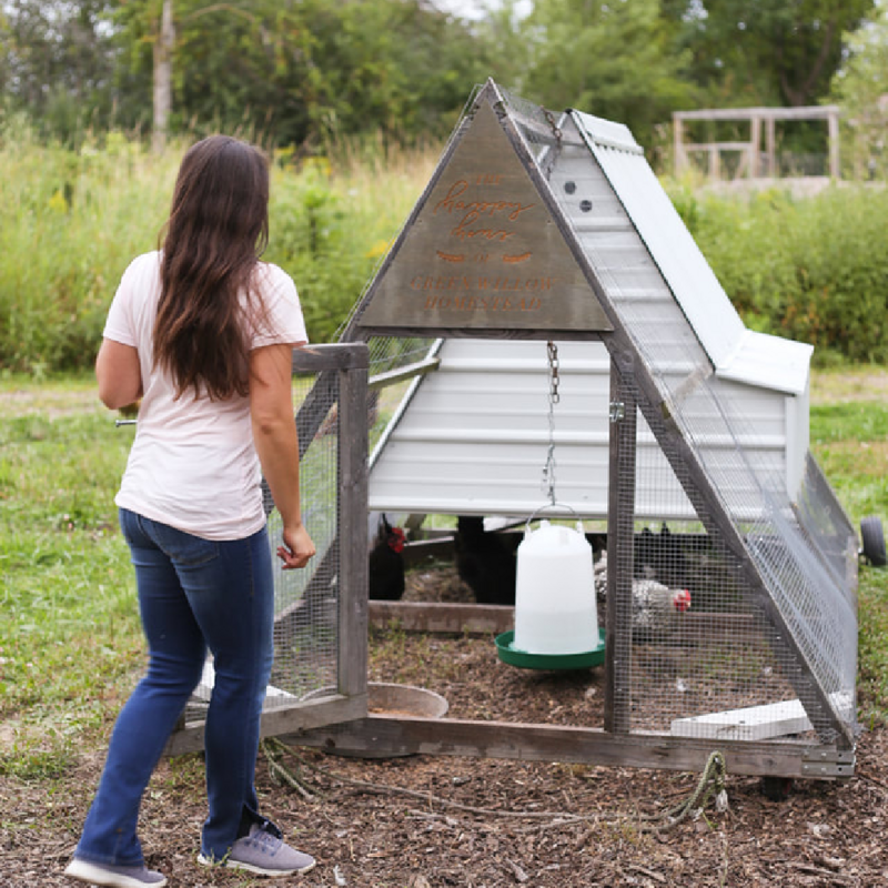 A-Frame Style Mini Mobile Chicken Tractor Plans - Instant Download