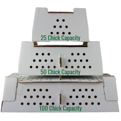 Chick Shipping Box, 25 Chick Capacity