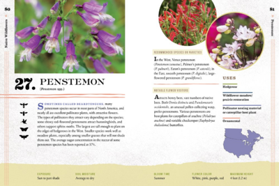100 Plants to Feed The Bees