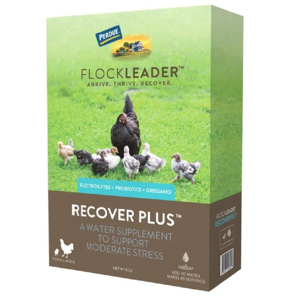 Flockleader Recover Plus