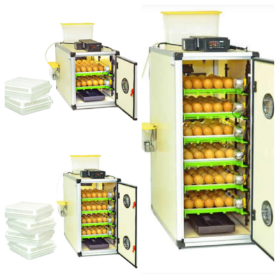 Hatching Time CT Series Incubator - Setter and Hatcher