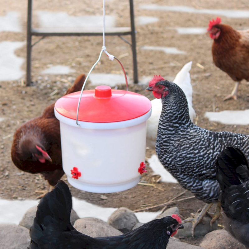 Heated 2 Gallon Poultry Nipple Drinker