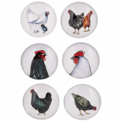 Watercolor Chicken Magnets, Set of 6