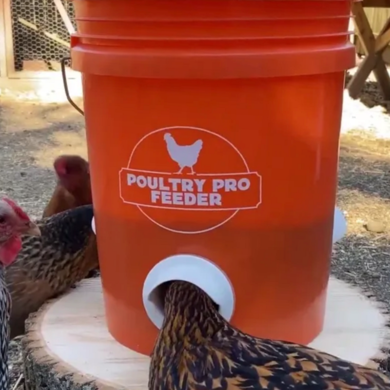 Poultry Pro Feeder Kit