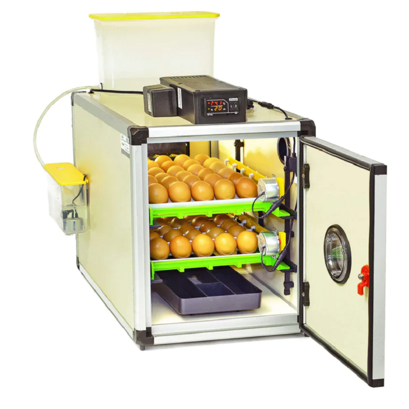 Hatching Time CT60SH Incubator Setter and Hatcher