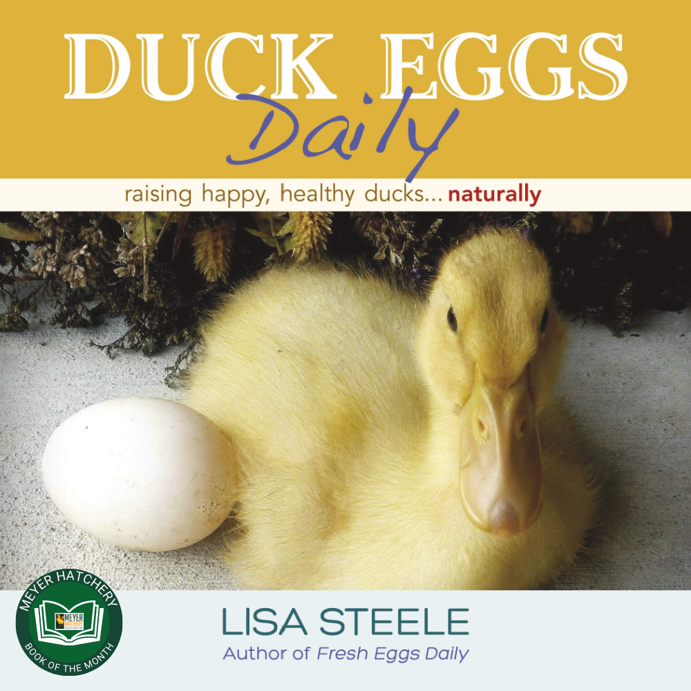Duck Eggs Daily: Raising Happy, Healthy Ducks... Naturally