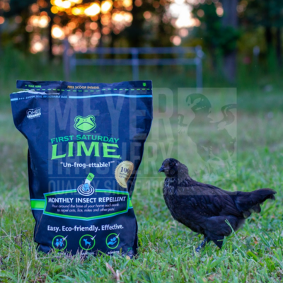 First Saturday Lime, 5-pound bag