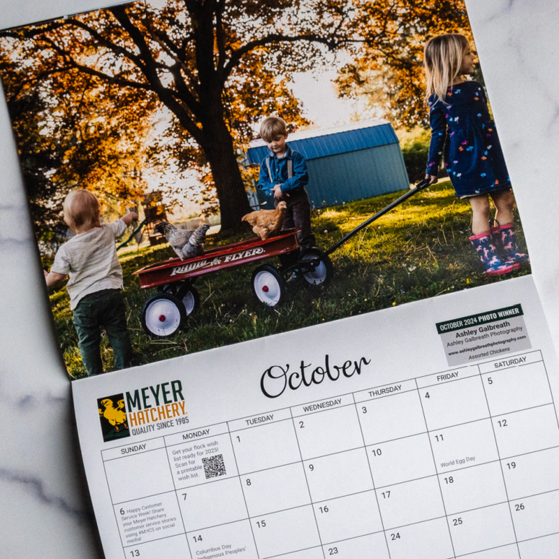 Official Meyer Hatchery 2024 Calendar