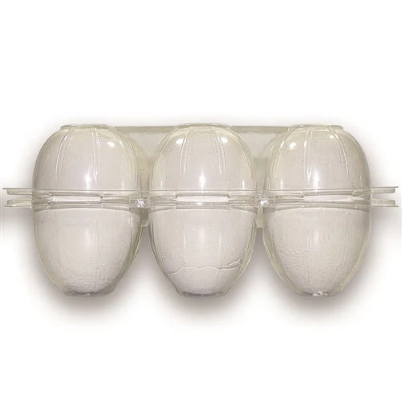 Clear Plastic Goose 6-Egg Carton