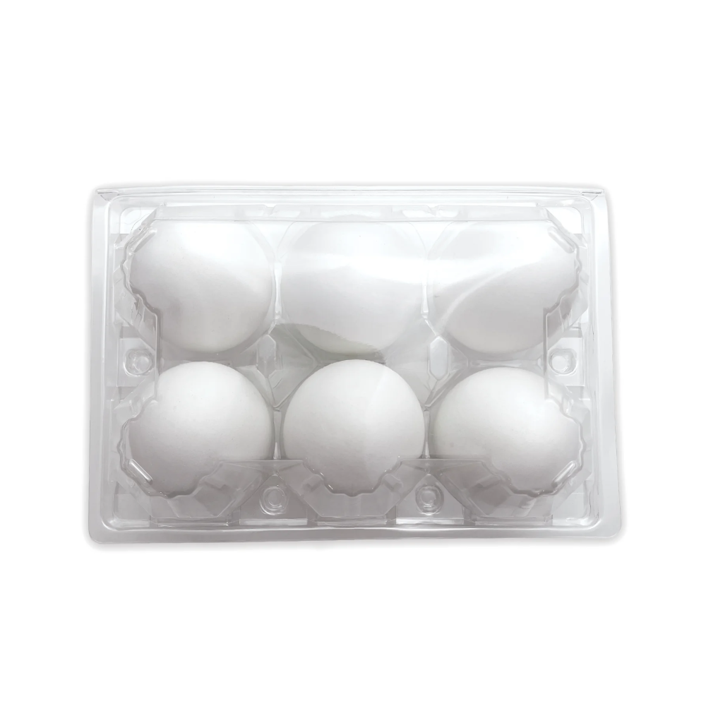 Clear Plastic Duck 6-Egg Carton