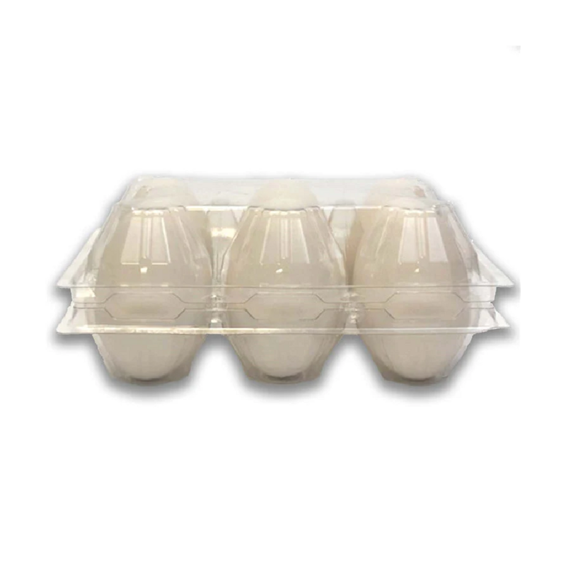 Clear Plastic Duck 6-Egg Carton