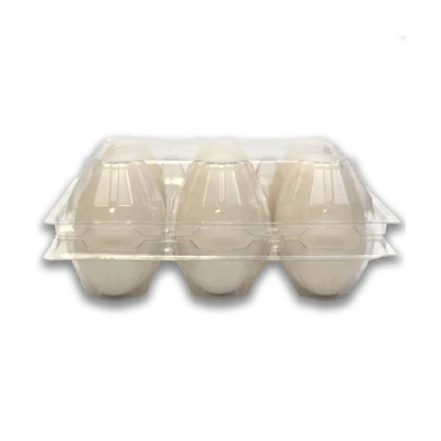 Clear Plastic Duck 6-Egg Carton