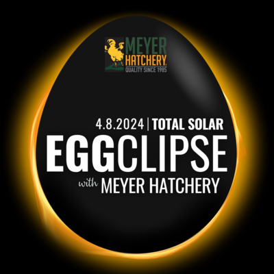 Eggclipse