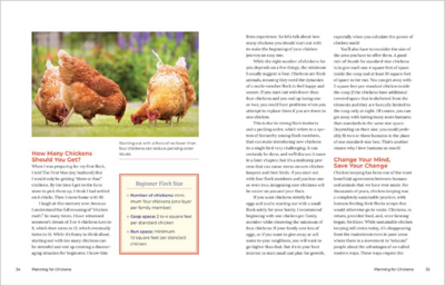 Let's All Keep Chickens