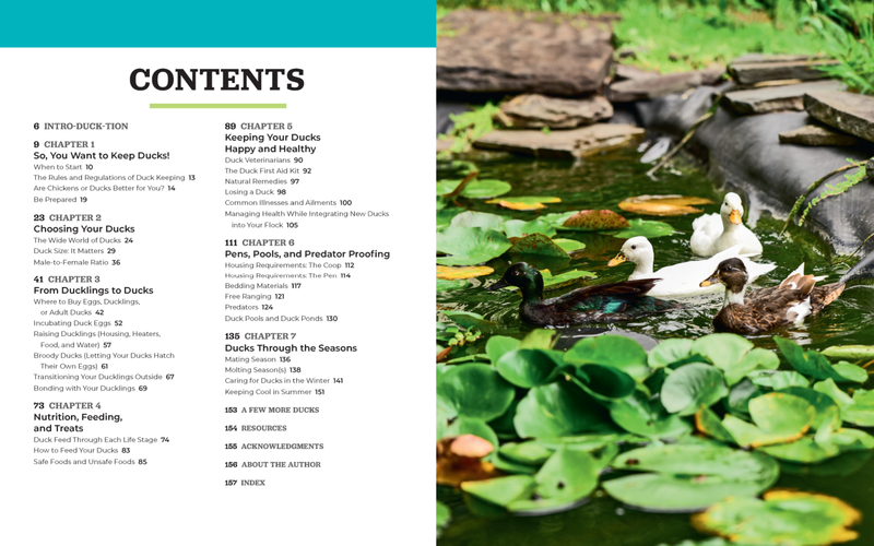 Raising Ducks for Beginners and Beyond