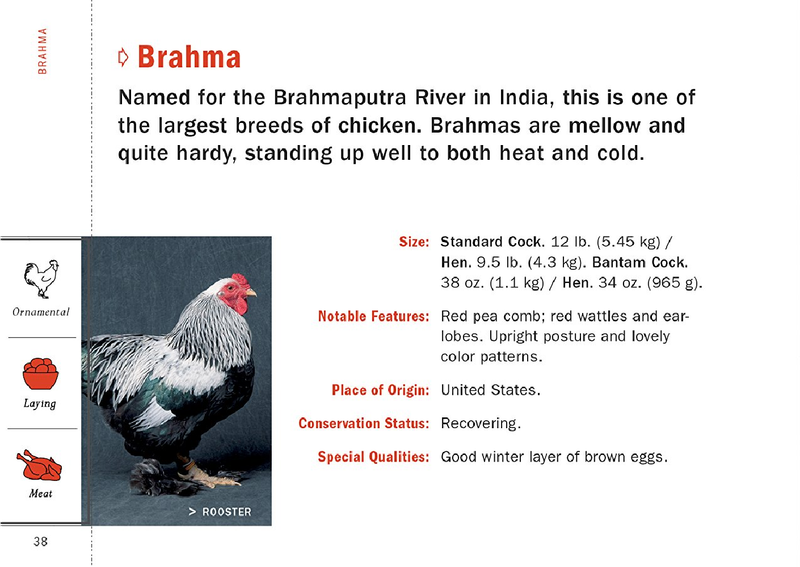 Poultry Breeds: The Pocket Guide to 104 Essential Breeds