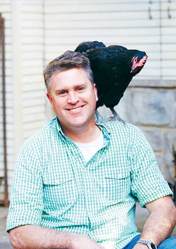 Backyard Chickens: How to Keep Happy Hens