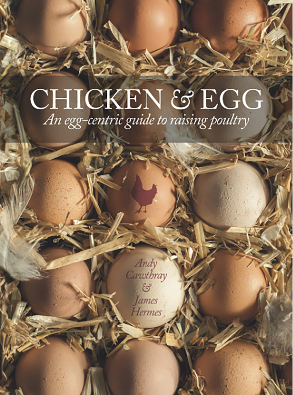 Chicken &amp; Egg: Raising Chickens to Get the Eggs You Want