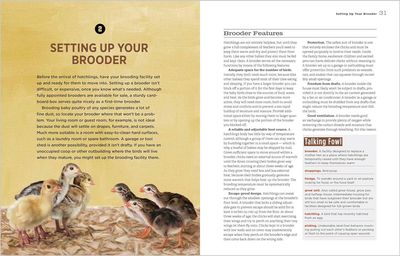 Hatching &amp; Brooding Your Own Chicks