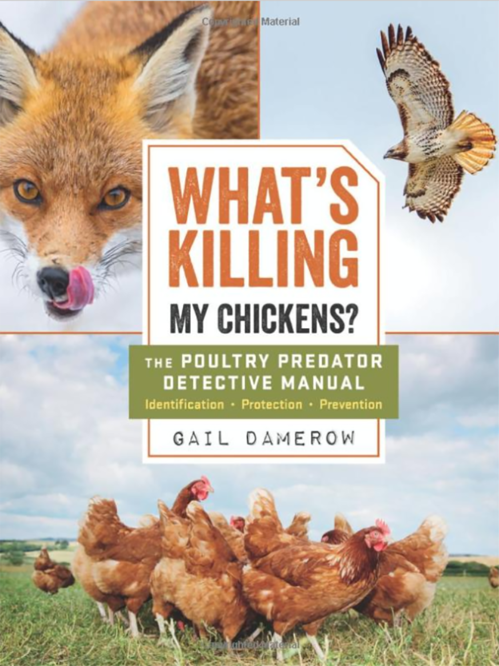 What&#39;s Killing My Chickens?