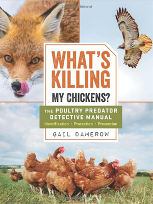 What&#39;s Killing My Chickens?