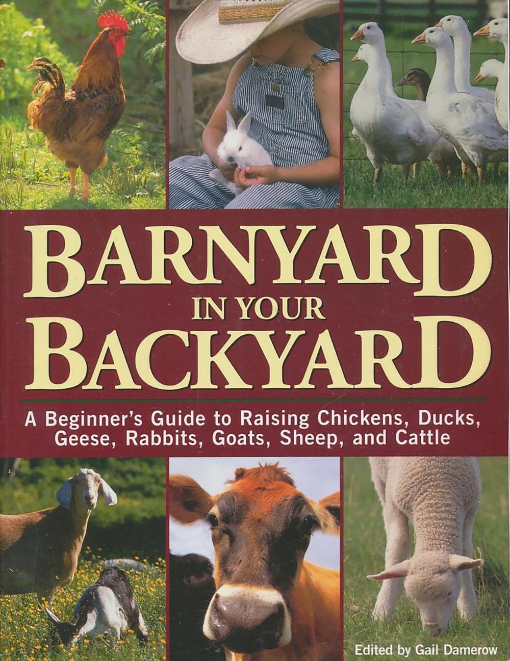 Barnyard in Your Backyard