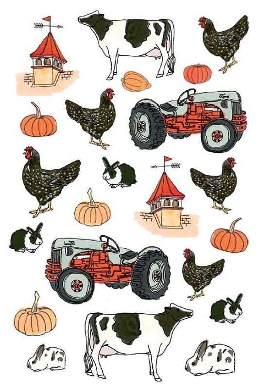 Farm Anatomy Sticker Book