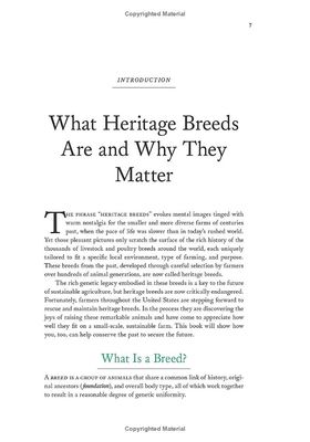 An Introduction to Heritage Breeds