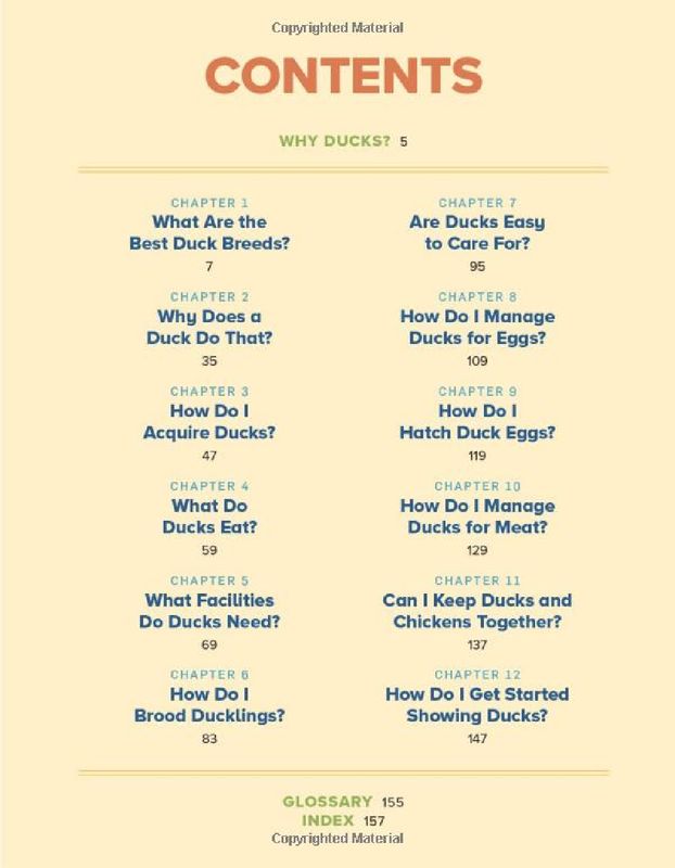 An Absolute Beginner's Guide to Raising Backyard Ducks
