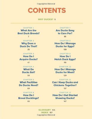 An Absolute Beginner's Guide to Raising Backyard Ducks