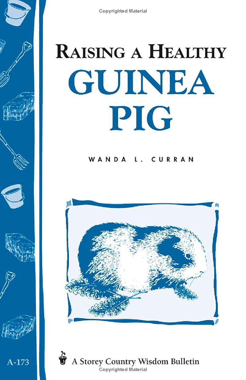 Raising a Healthy Guinea Pig
