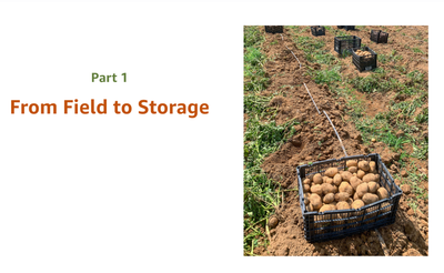 Beyond the Root Cellar