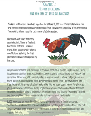 Chickens - Flock University K-3 Workbook