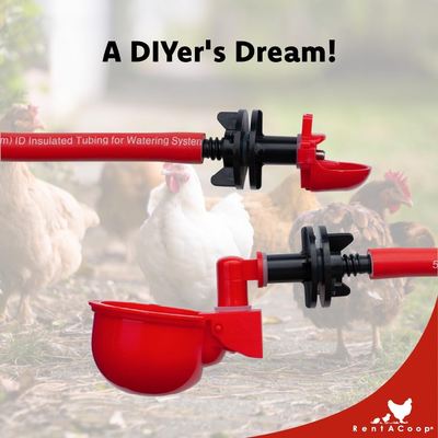 DIY Sip Station Starter Kit for Chickens