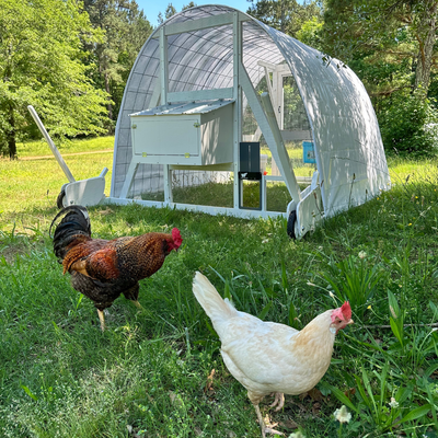 Poultry Hoop Coop DIY Blueprints - Instant Digital Download
