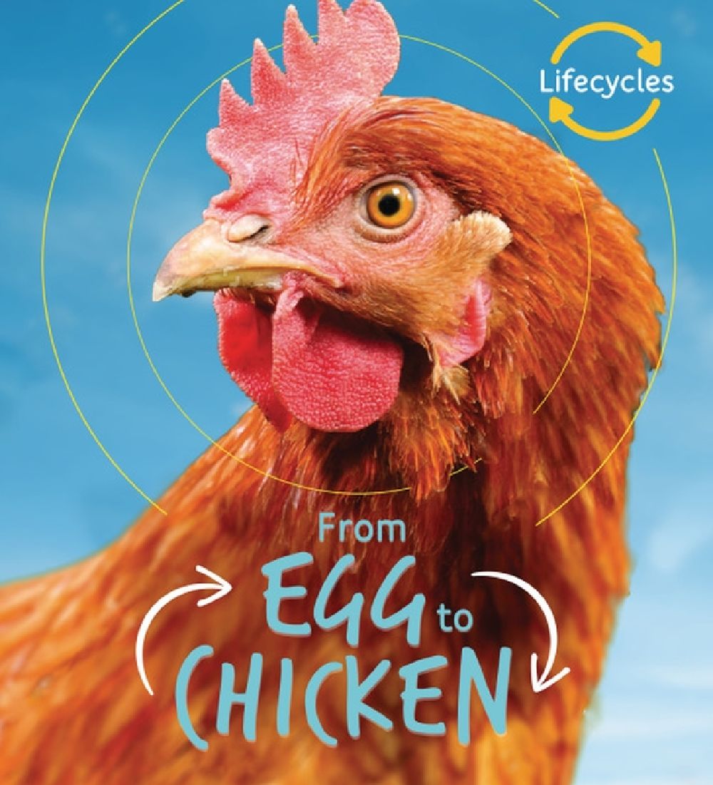 From Egg to Chicken
