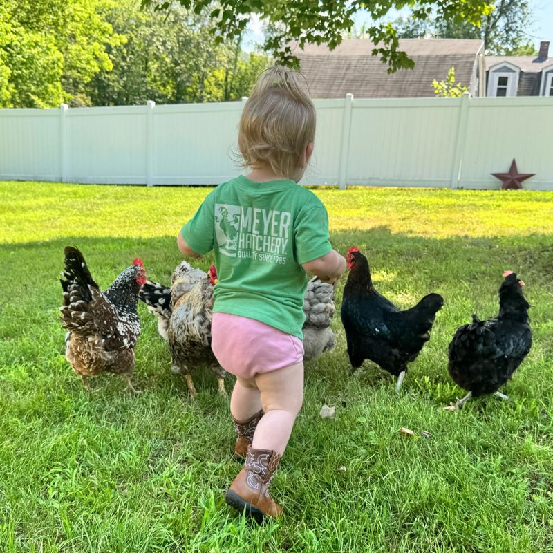 Meyer Hatchery Free Range Kids Tee
