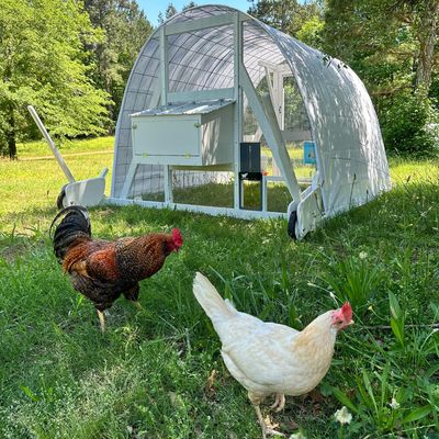 Poultry Hoop Coop DIY Blueprints - Instant Digital Download