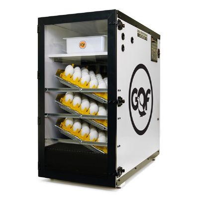 GQF 1502 Digital Sportsman Cabinet Style Incubator