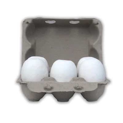 Vintage Goose 6-Egg Carton
