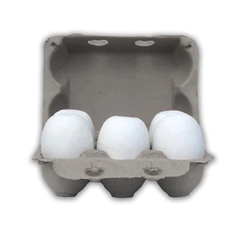 Vintage Goose 6-Egg Carton