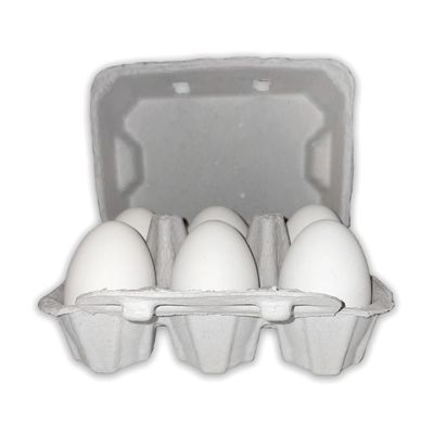Vintage Duck 6-Egg Carton
