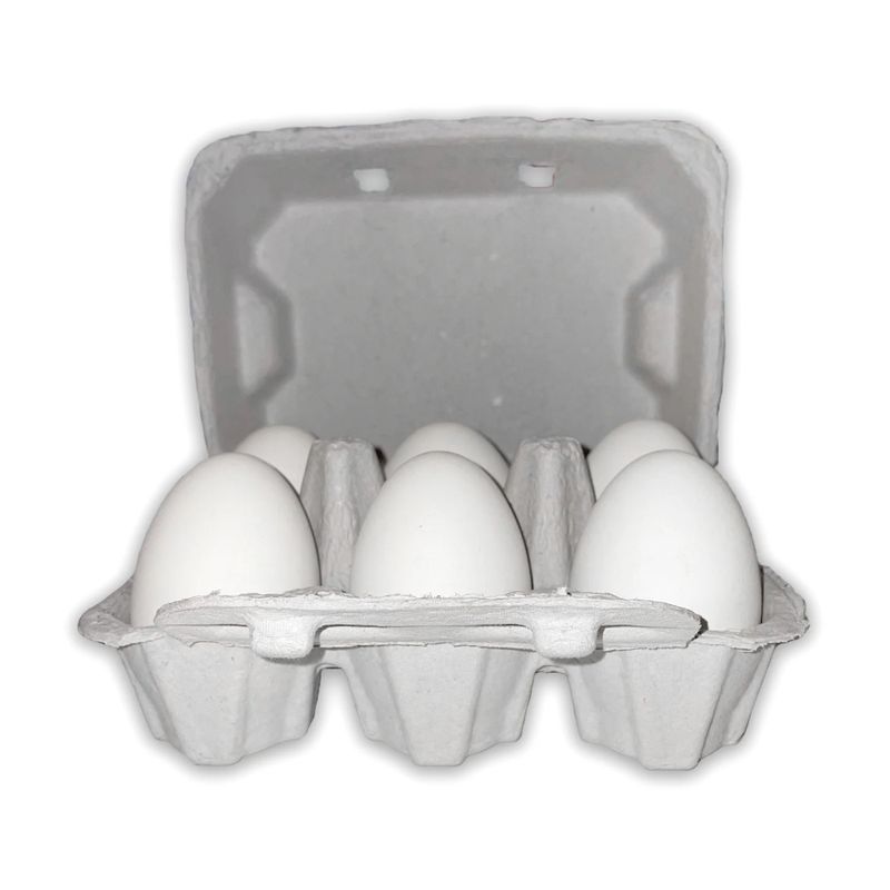 Vintage Duck 6-Egg Carton