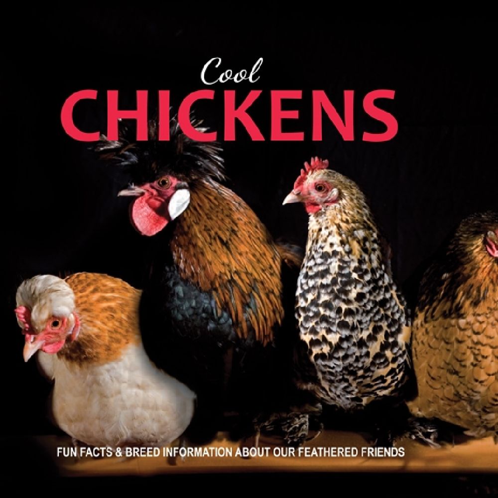 Cool Chickens
