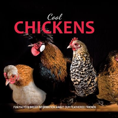Cool Chickens