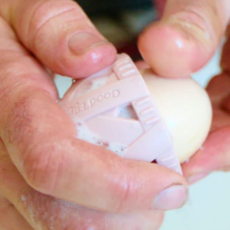 GoodEgg Brush, Small - Medium