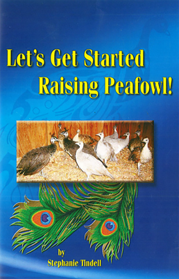 Let's Get Started Raising Peafowl