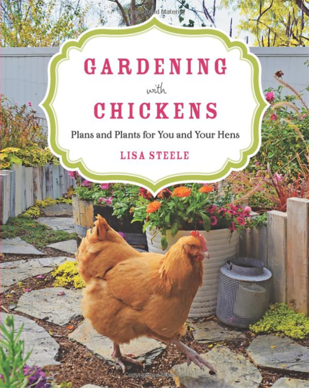 Gardening with Chickens