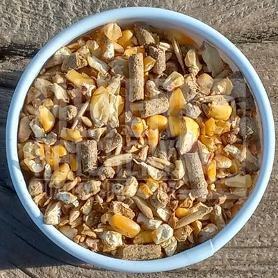 General Purpose Feed, 12% Protein