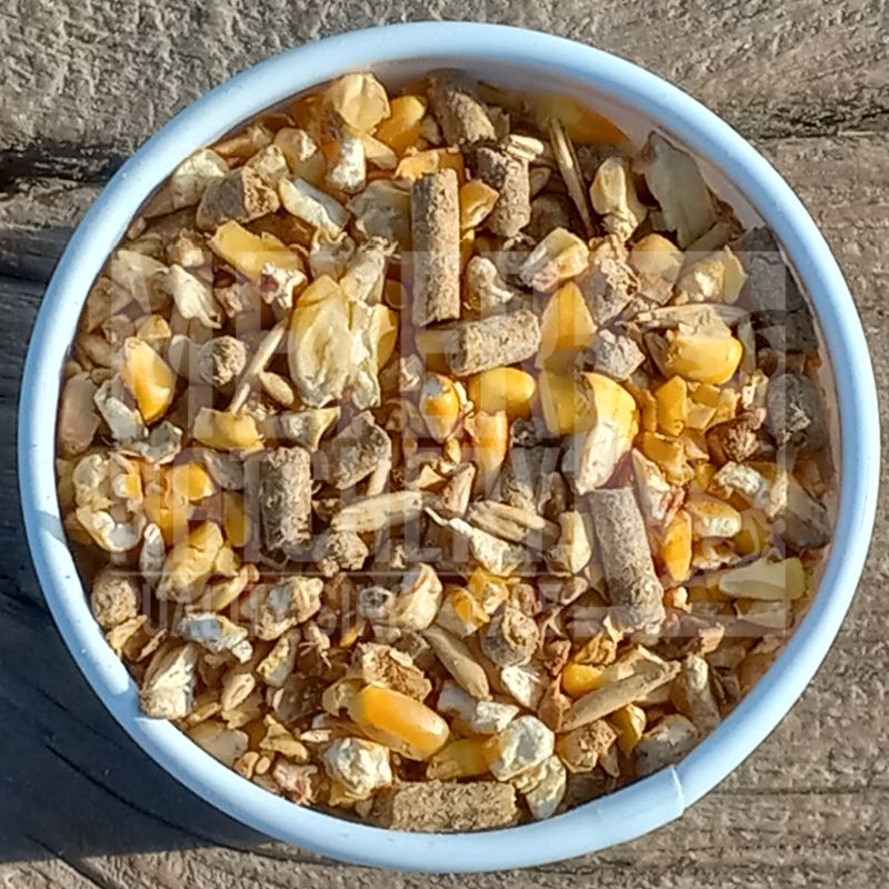 General Purpose Feed, 12% Protein